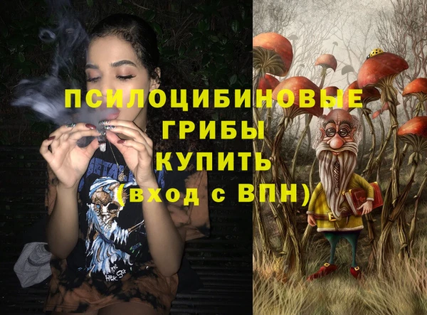 соль курить ск Инсар
