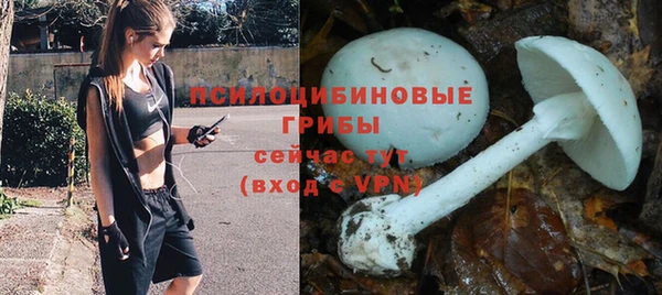метамфетамин Инта
